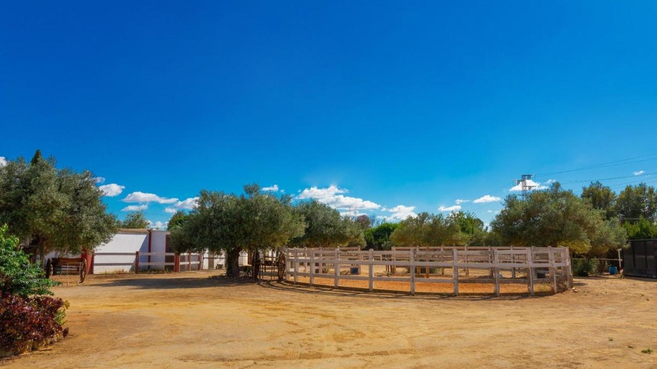 Finca La Canera Alcala De Guadaira By Ruralidays ภายนอก รูปภาพ